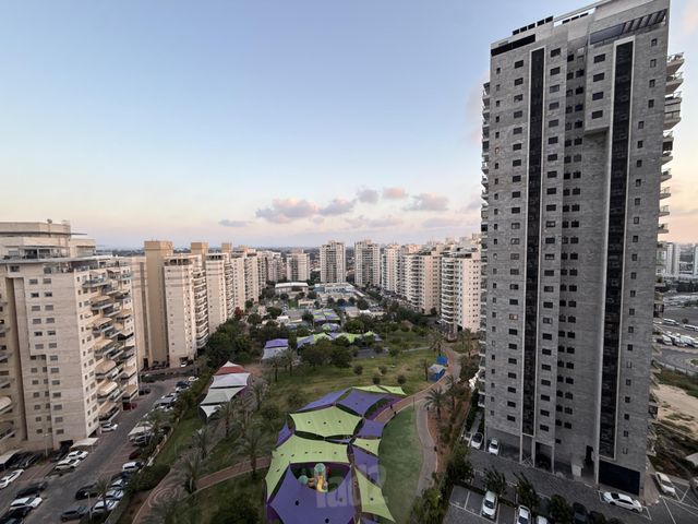 הברוש 5