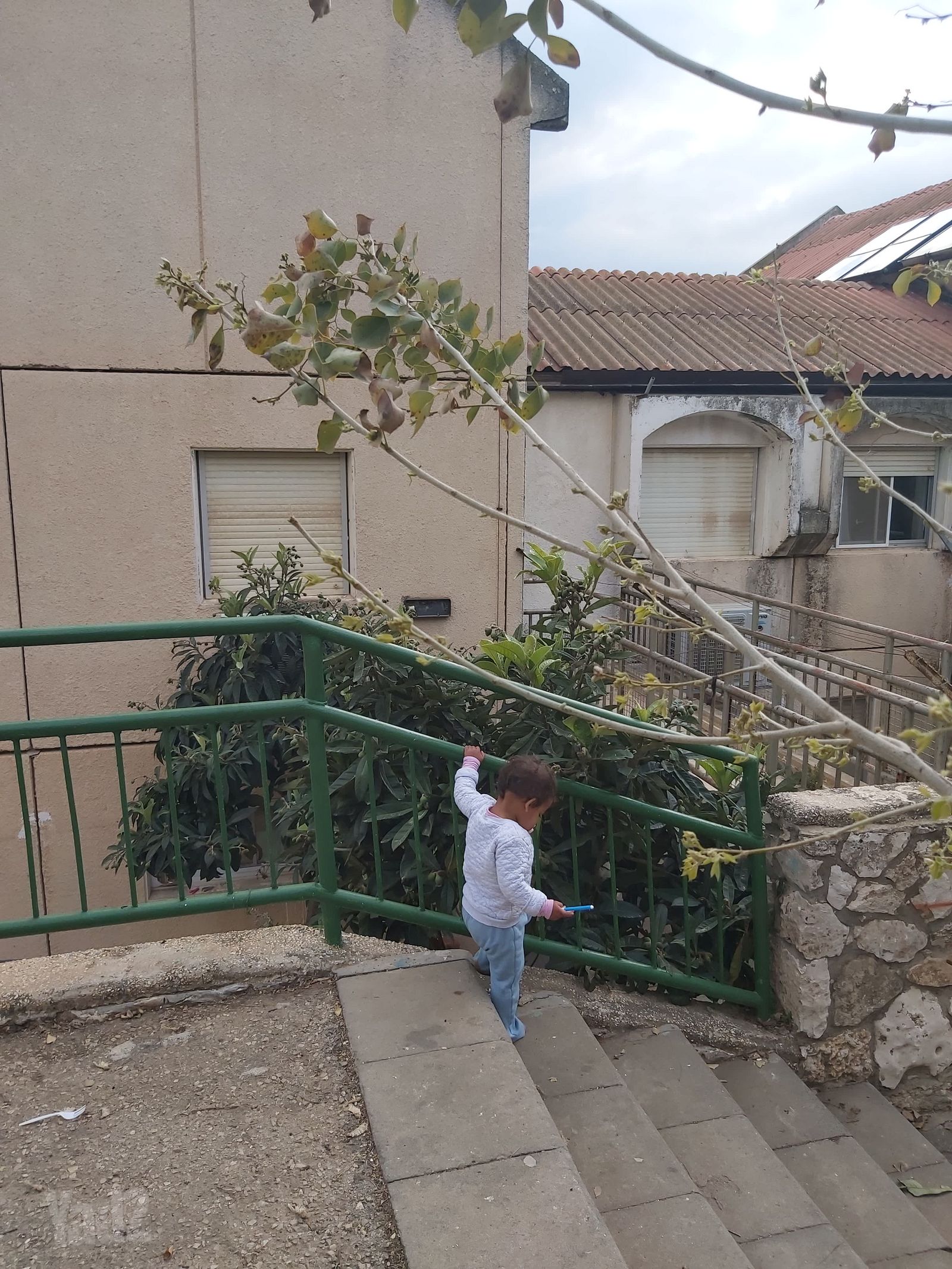 דירה, רבבות אפרים 1, אלון מורה, אלון מורה