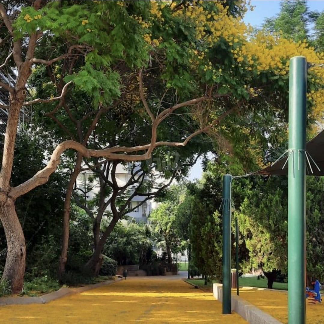 דירה, דקל 12, מרכז, כפר סבא