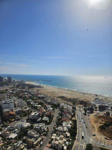 הדקל 5