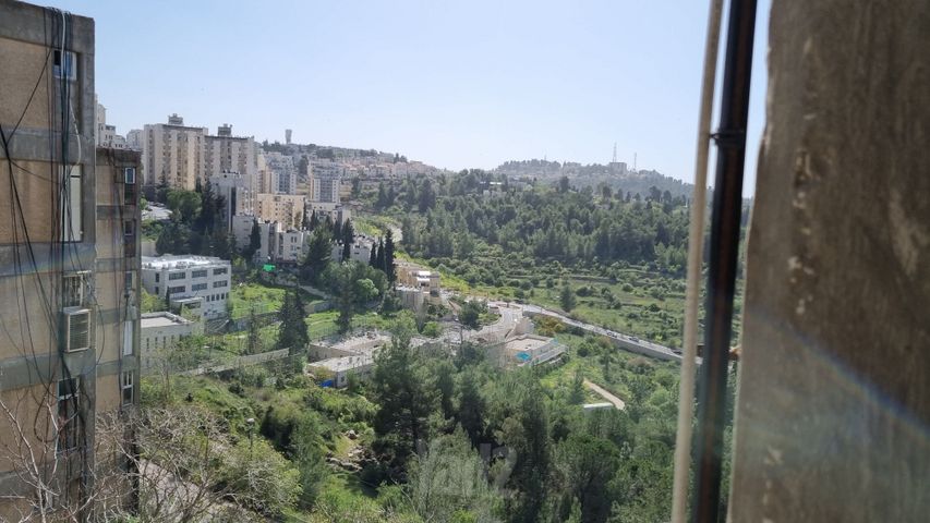 ברזיל 26