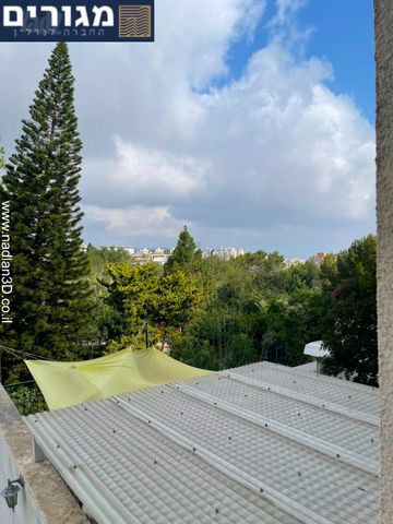 אלתר 