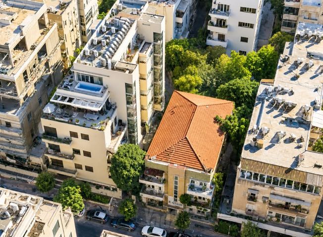 שיינקין