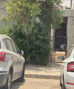 שמעון בר גיורא 63