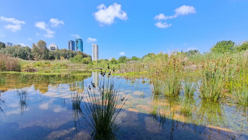 רחובות הנהר 