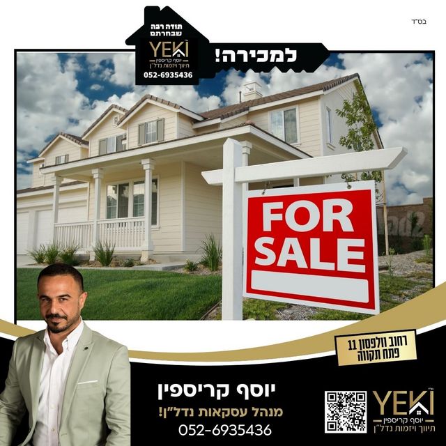 דוד וולפסון 11
