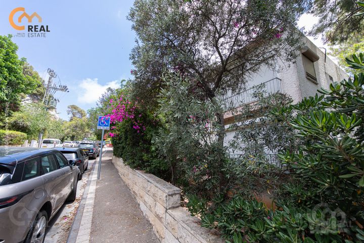 דוד פינסקי