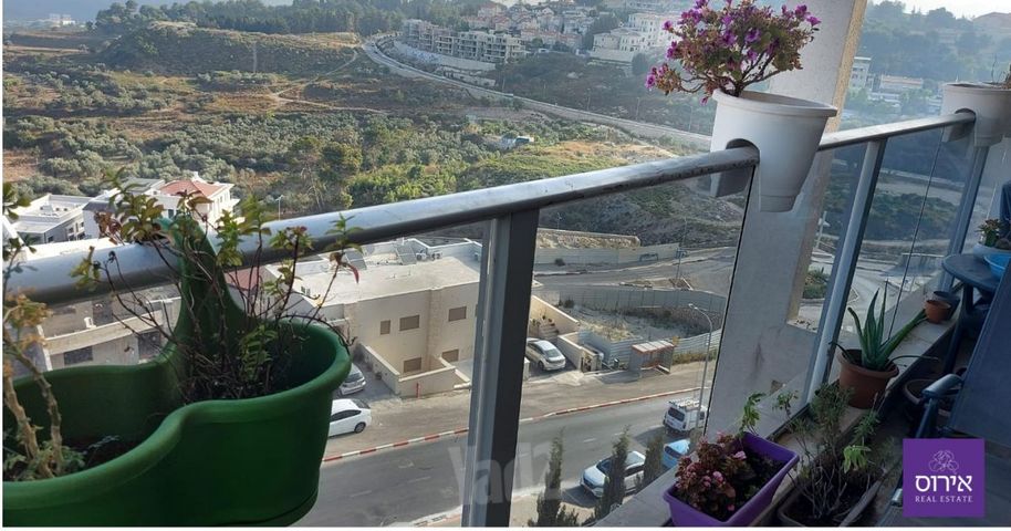 אורנים
