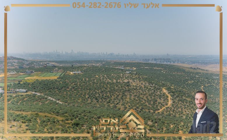 אלה 