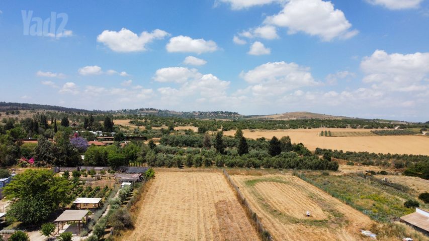 משק חקלאי/ נחלה