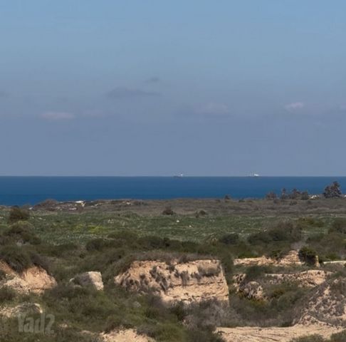 נעמי שמר 12