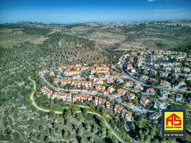 הסנונית 