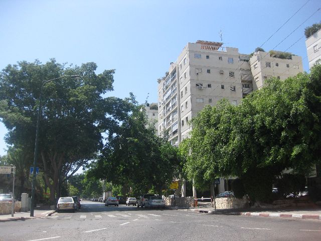 נווה אביבים
