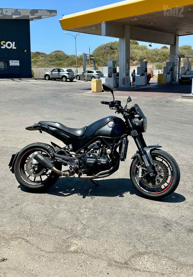 בנלי LEONCINO500