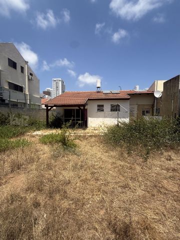 אדולף שטנד 14