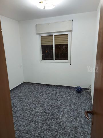 אבא אחימאיר 15