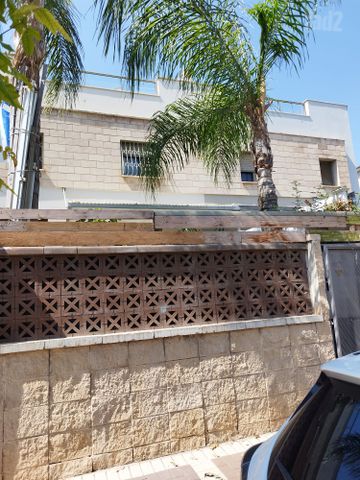 חבצלת 17