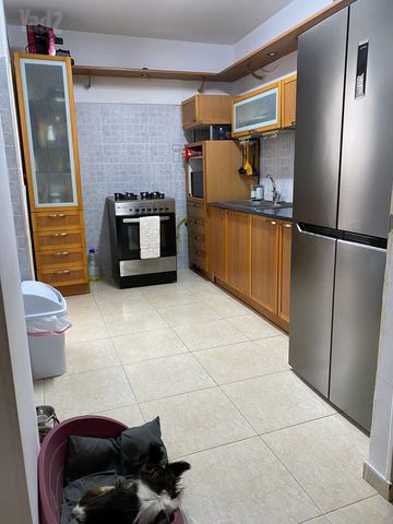 הסוכנות היהודית 2