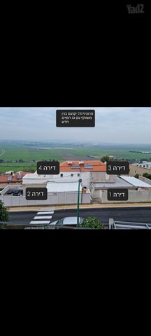 המרגנית 24
