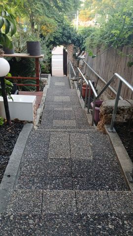 הנורית 12