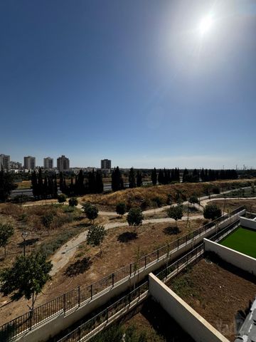 נחל גוברין 35