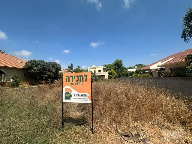מגד