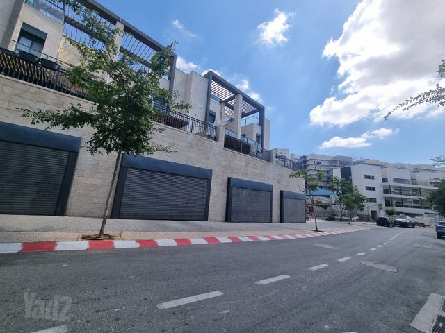 יער בארי