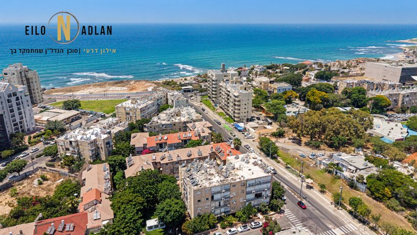 שמחה הולצברג 