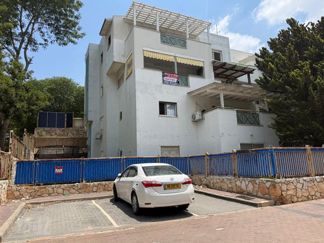 רותם 12