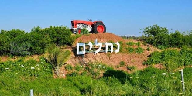 משק חקלאי/ נחלה