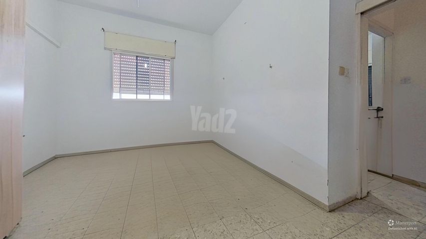 א.צ. גרינברג 20