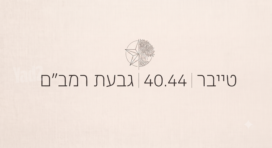 ישראל טייבר 40