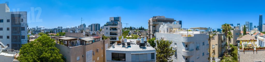 ישראל טייבר 44