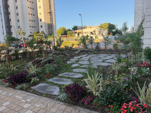 דירה