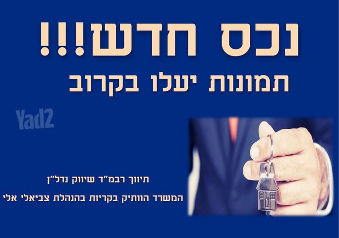 דירה, מוצקין הותיקה, קרית מוצקין