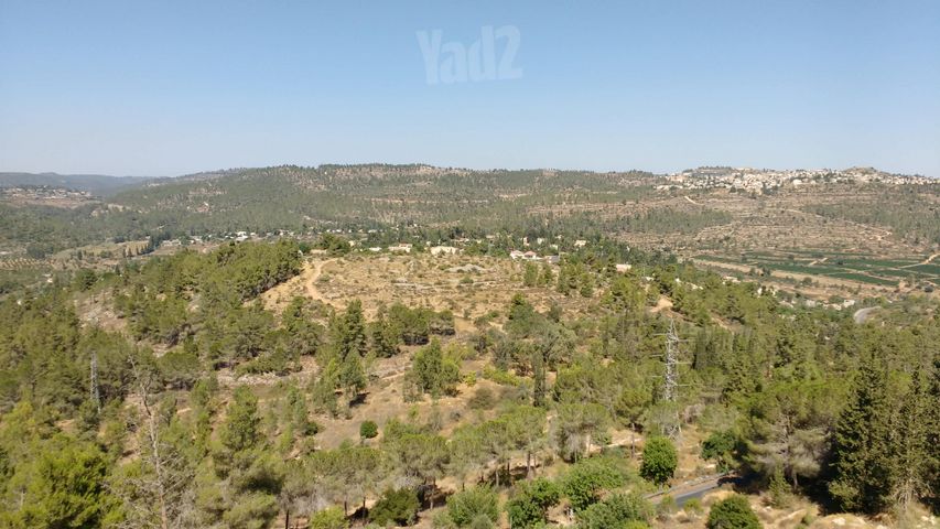 הר נוף