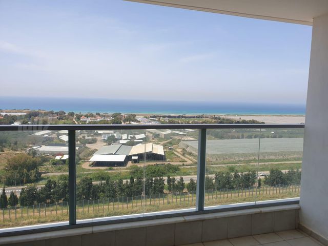 דולפין 