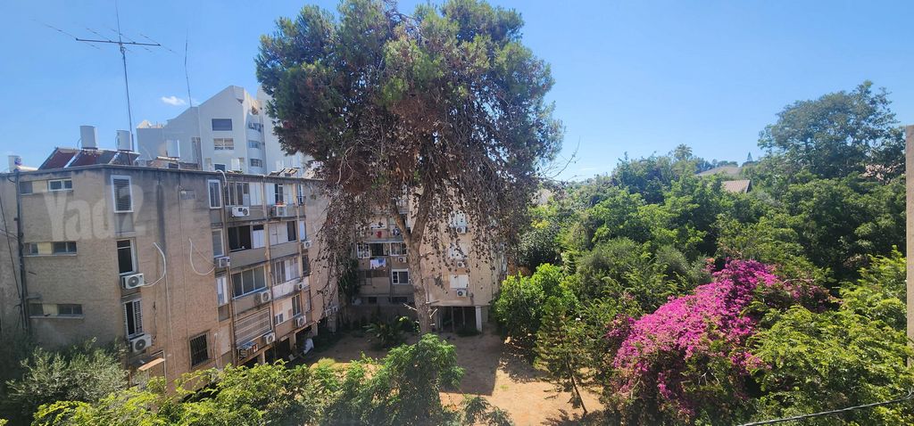 אח"י דקר 31