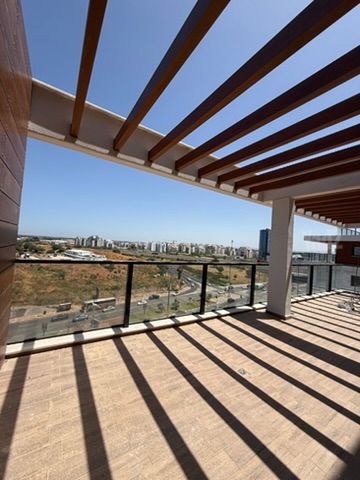הכלנית 