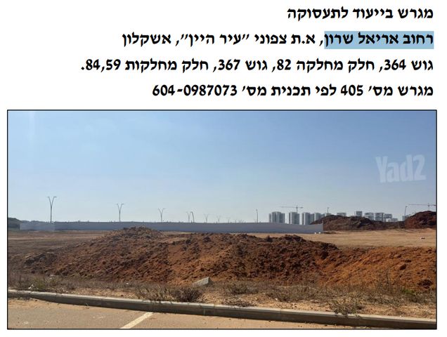 אריאל שרון 