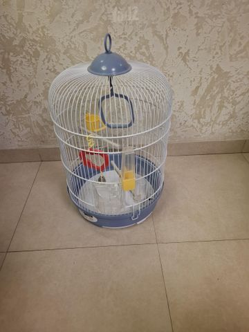 תמונת מודעה - חיות מחמד