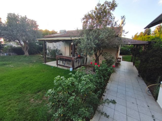 המגוב 32