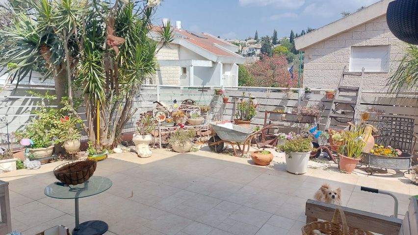 דן 24