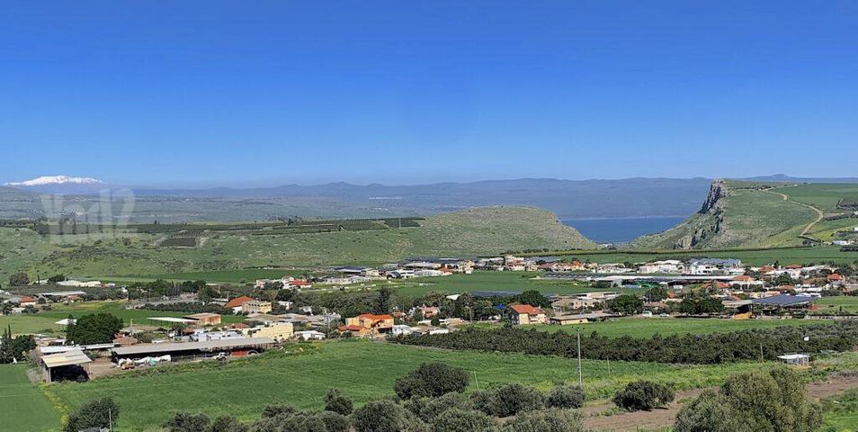 כפר זיתים 1