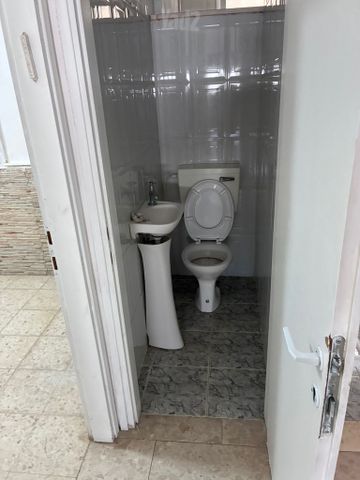 הזית 38