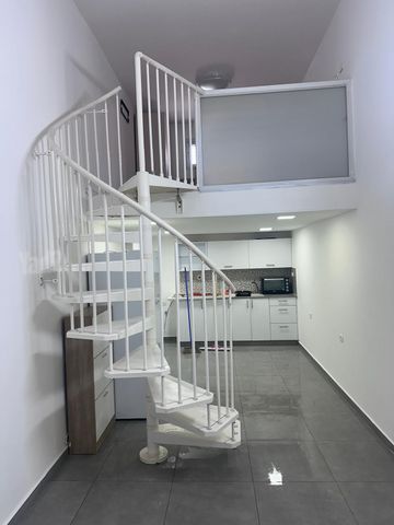 דב ימיני 16