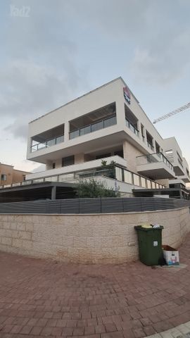 מרכז העיר
