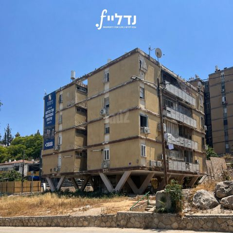 גור אריה 1