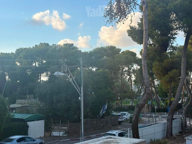 משה בילינסון 