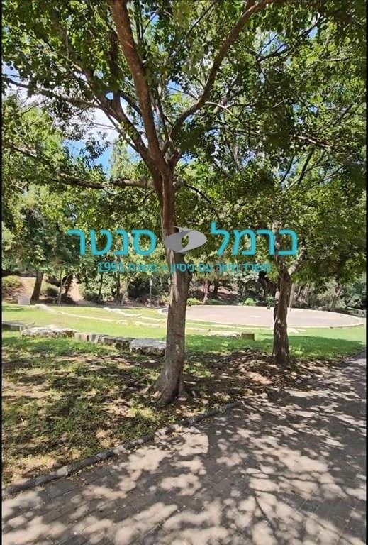 דירת גן